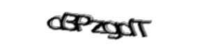 Security check image, please type the characters shown