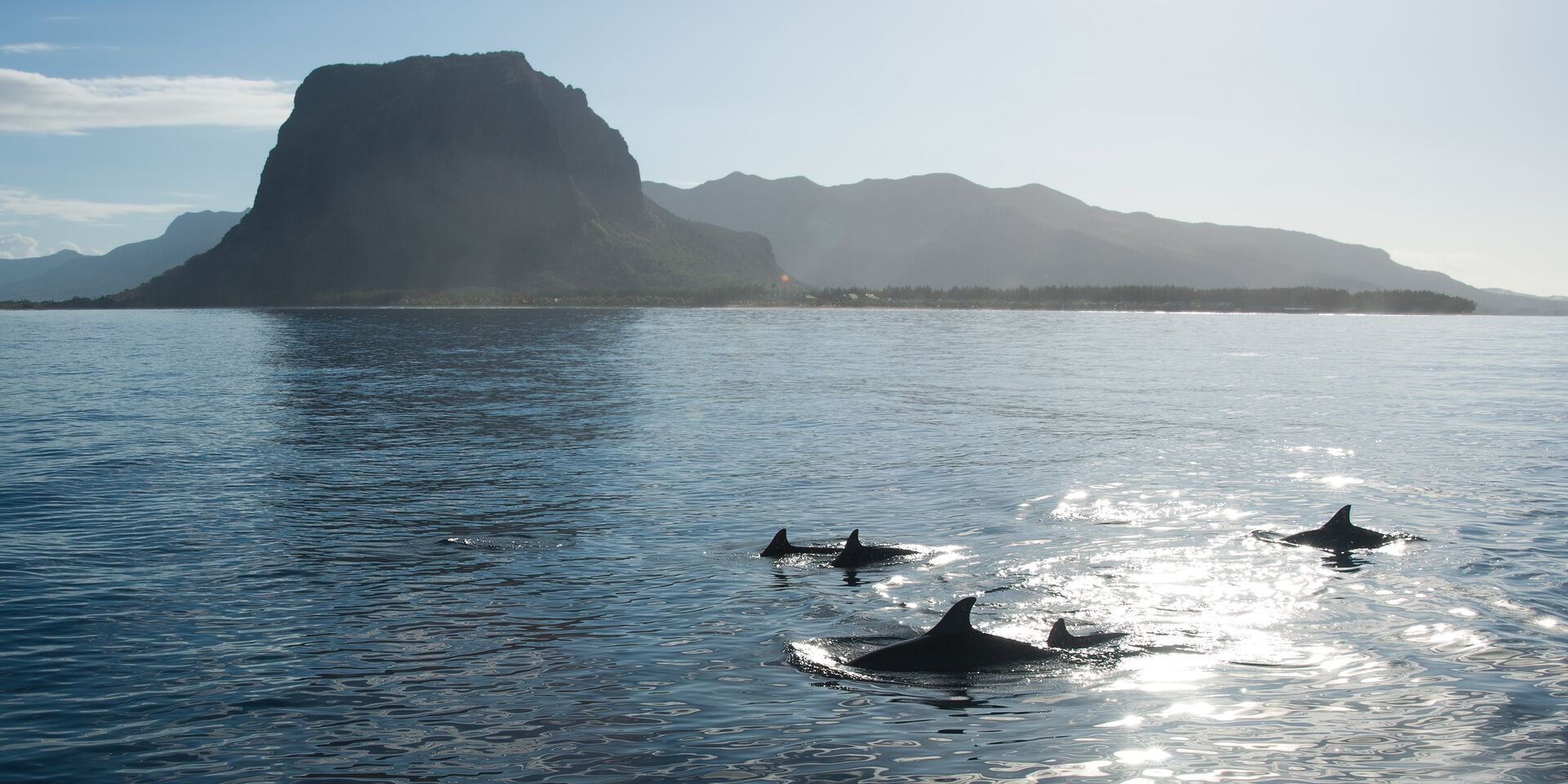 Mauritius 6