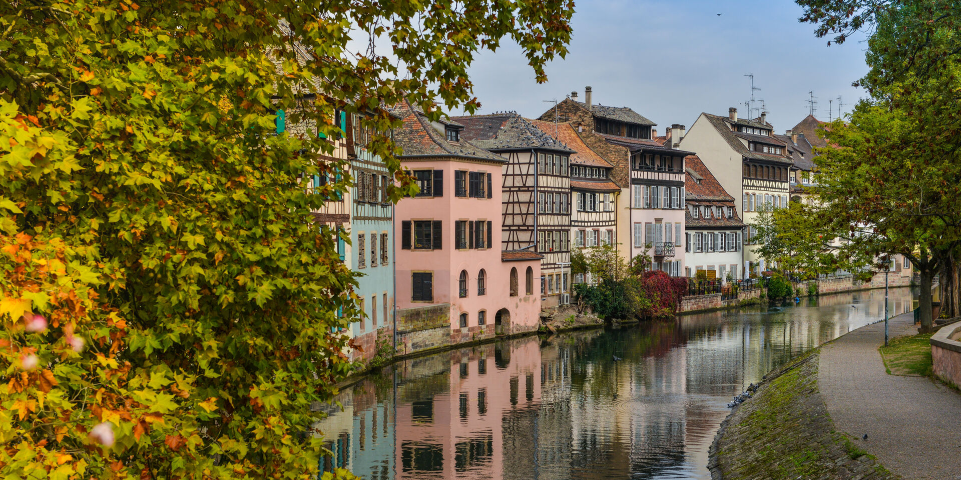 Strasbourg 5